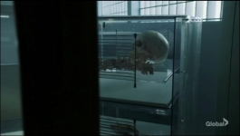 NCIS Los Angeles - Season 14 Episode 17